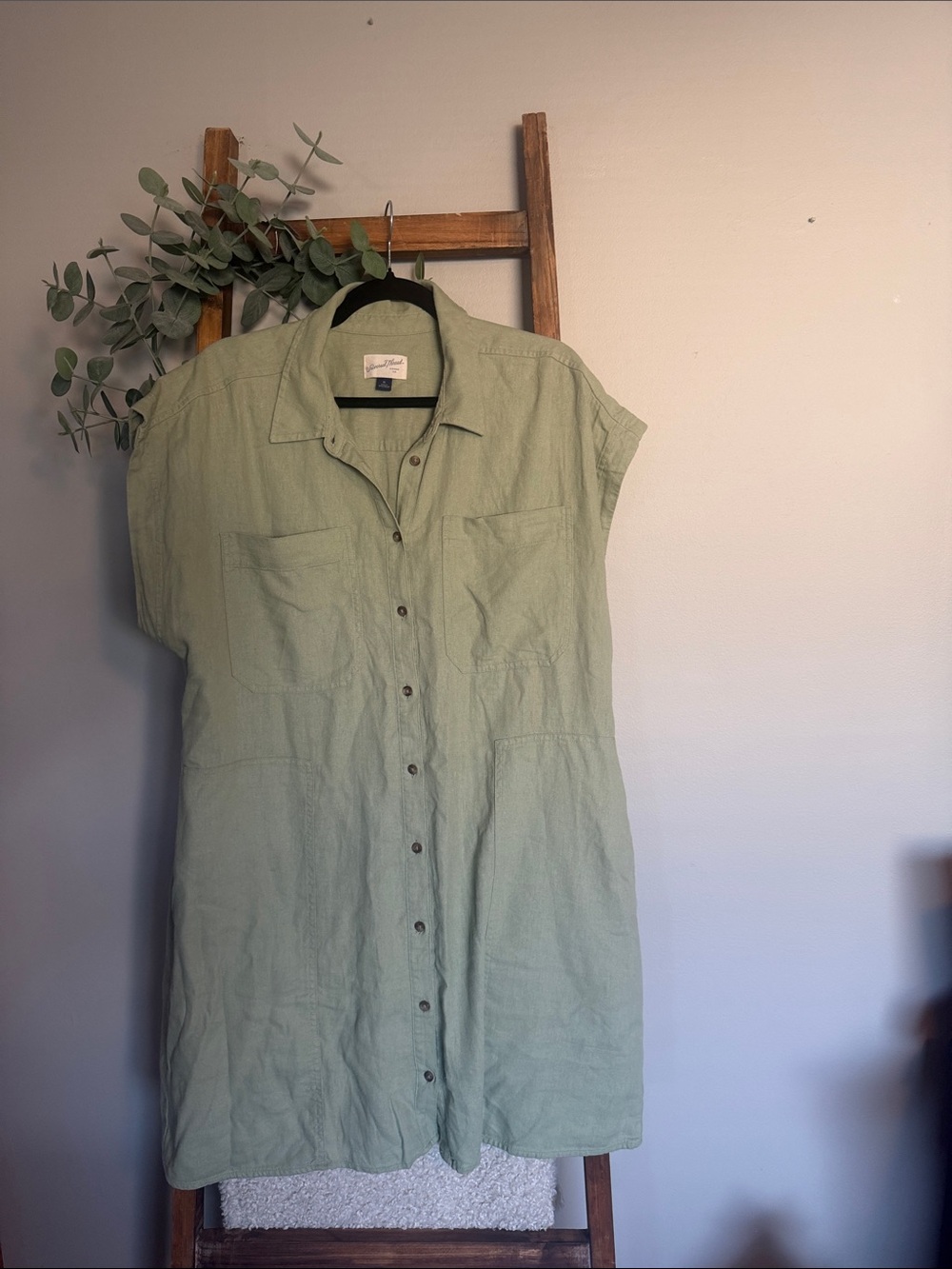 Universal Thread Sage Green Button-Front Linen Dress